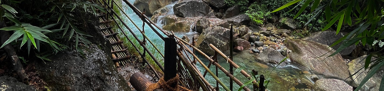 Living Root Bridge - About TravTrails