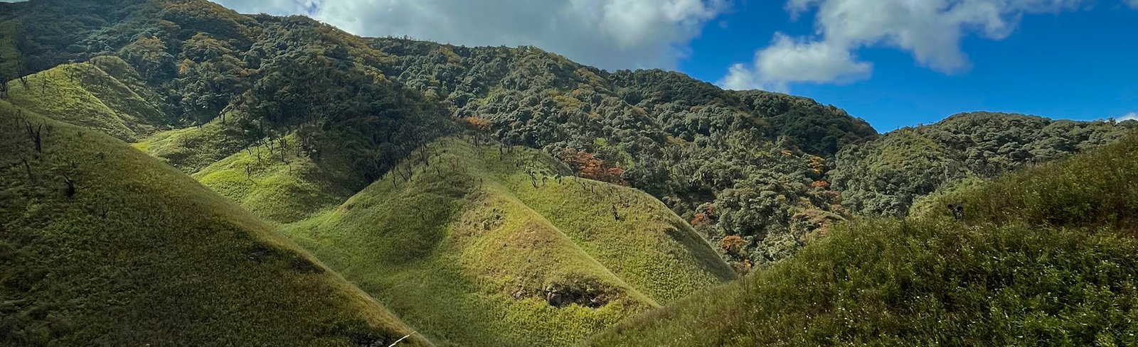 Green valleys and mountains of Northeast India